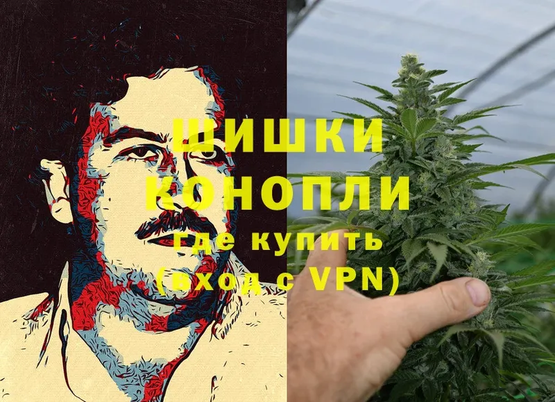 как найти   Кушва  Бошки марихуана White Widow 